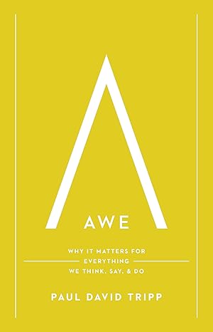 AWE : WHY IT MATTERS FOR EVERYTHING WE THINK SAY AND DO